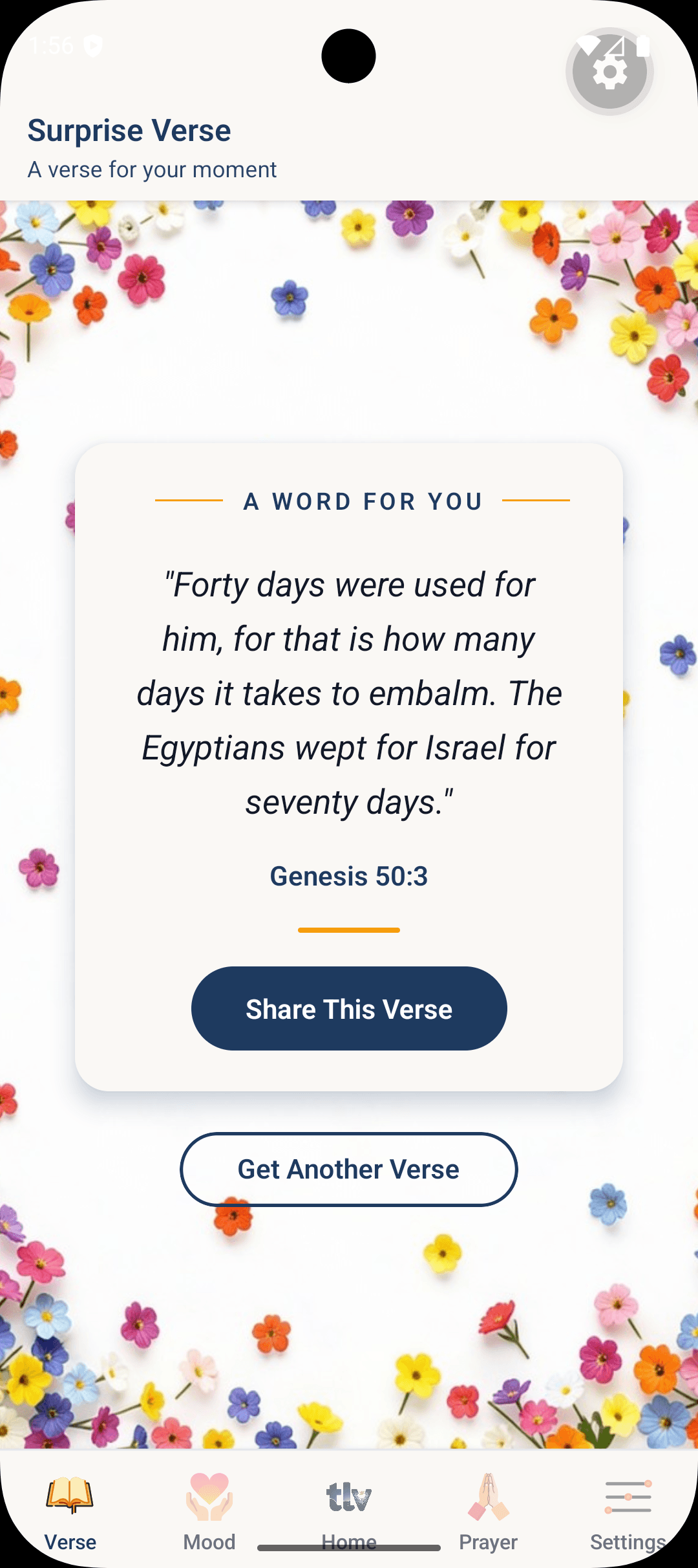 Daily verse screen in The Lord's Voice app